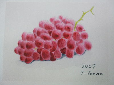 20071012e.jpg