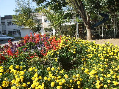 20071027kennsin2.jpg