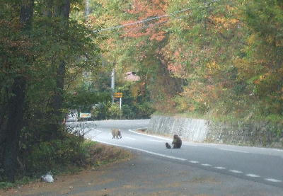 20071116annbi2.jpg