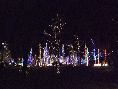 20071223den4.jpg