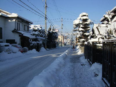 200800204y.jpg