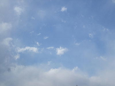 20080212yu.jpg
