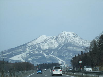 20080326ni1.jpg