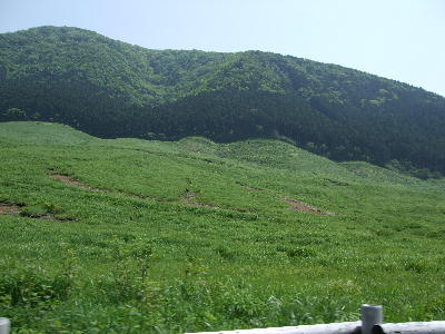 20080611ji1.jpg