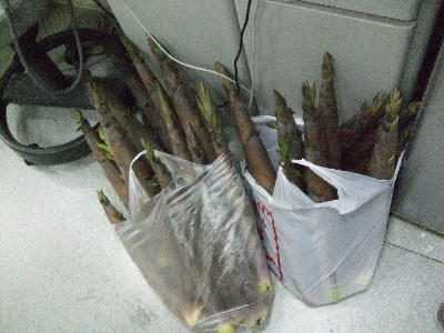 20080705take1.jpg