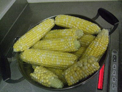 20080821to1.jpg