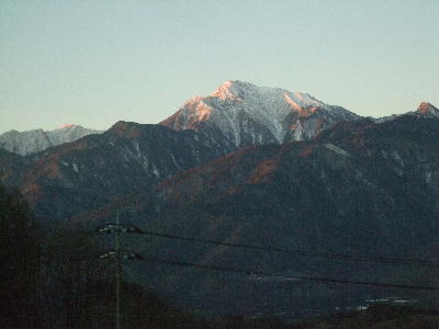 20100129to2.jpg