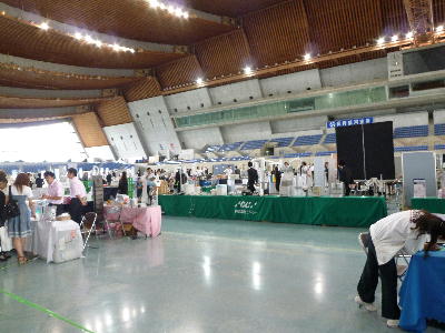 20100701de1.jpg