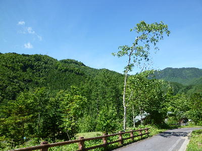 20100725ka5.jpg