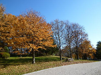 20101110ku1.jpg