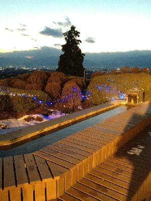 201101fuji1.JPG