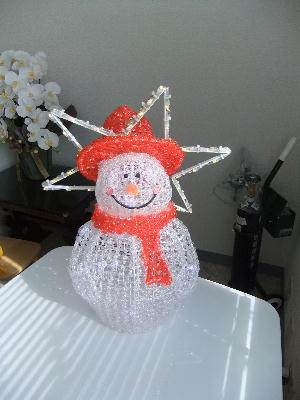 20120121sa1.jpg