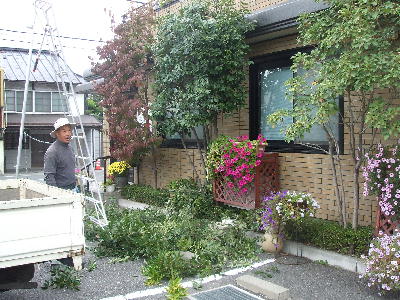 ueki20071014.jpg